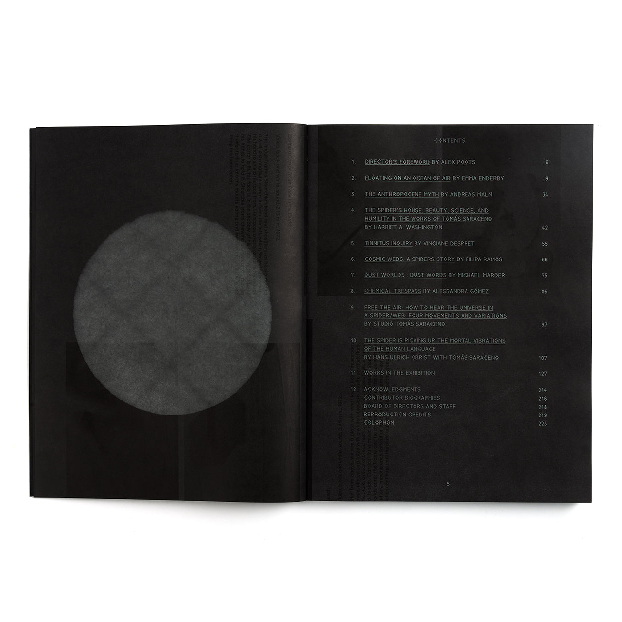 Tomás Saraceno: Particular Matter(s)