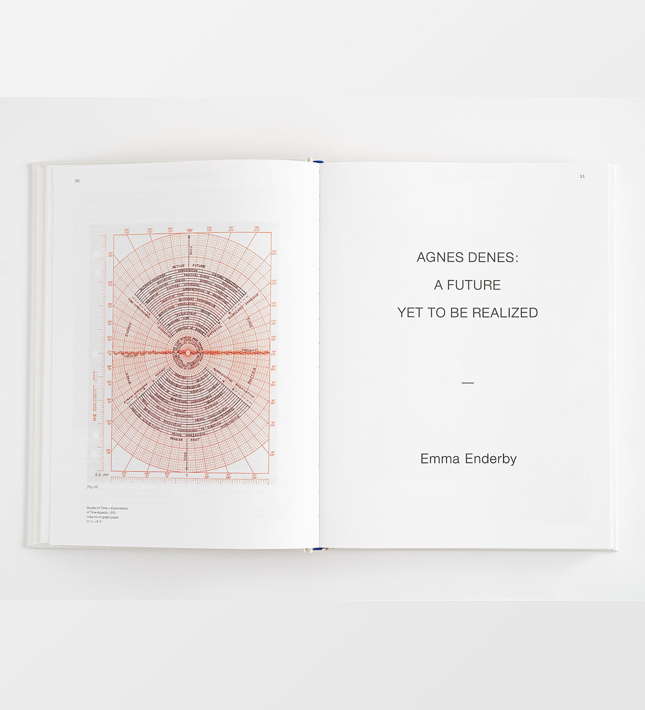 Agnes Denes: Absolutes and Intermediates [LIMITED QUANTITY] – The Shed