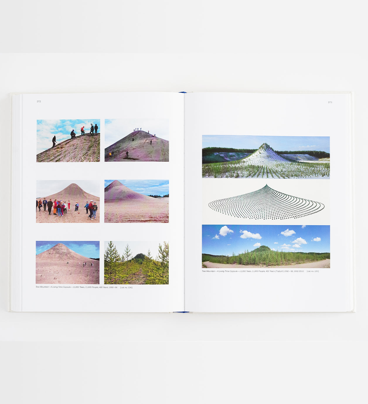 Agnes Denes: Absolutes and Intermediates [LIMITED QUANTITY] – The Shed