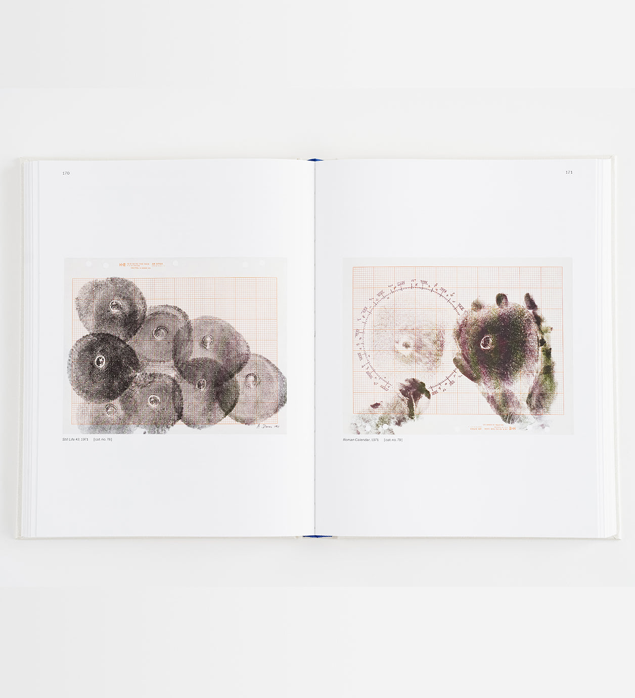Agnes Denes: Absolutes and Intermediates [LIMTED QUANTITY]